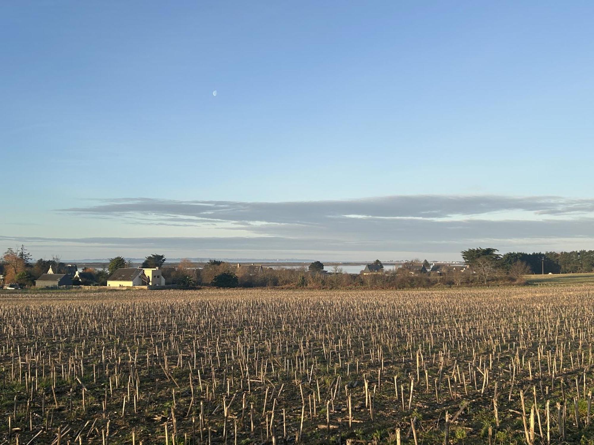 Petit Duplex Proche Mer Plouhinec  Exteriér fotografie